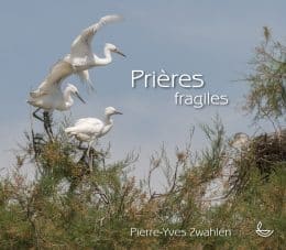 Prières fragiles